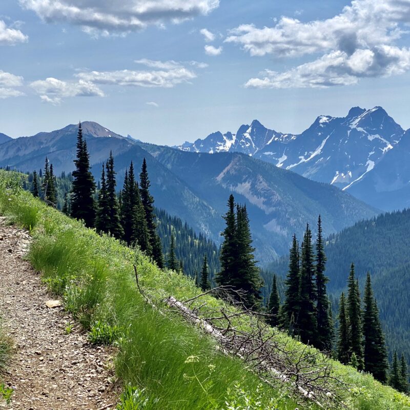 Jagged Peaks Allure