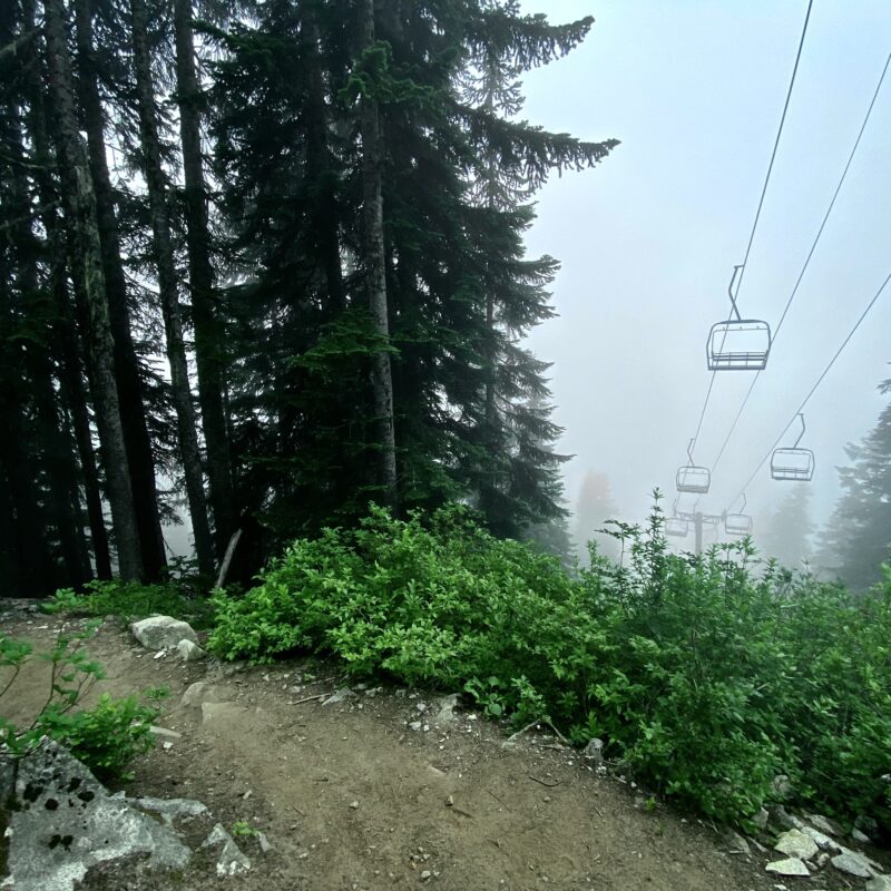 Stevens Pass Gloom