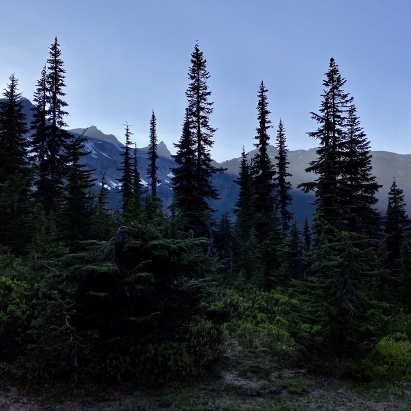 Mountain Carving Light