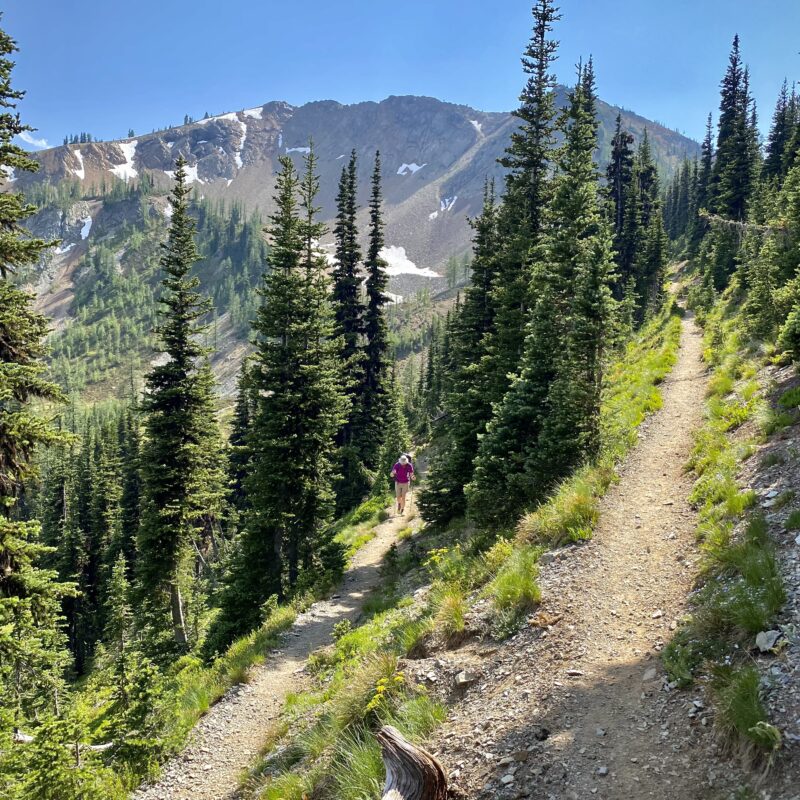 Switchbacks