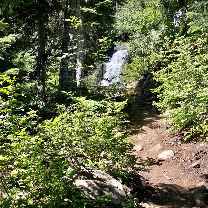 Waterfall Views