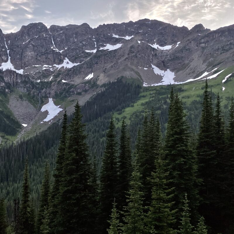 Mountains From the Trees