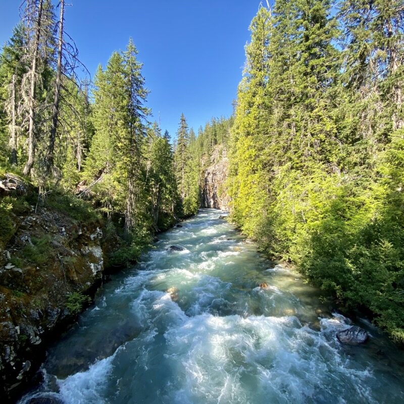 Roaring Rivers