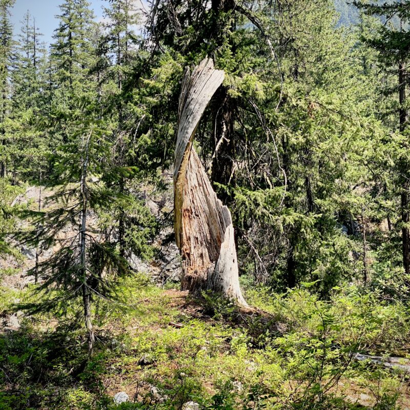 Nature Makes Sculpture