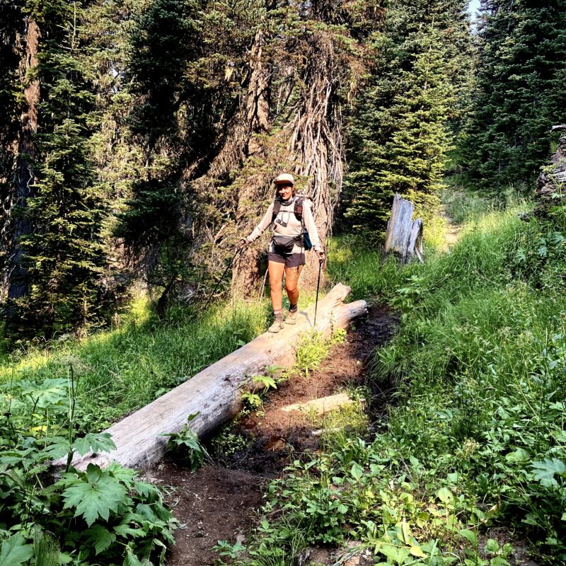 Krystle Strolling Logs