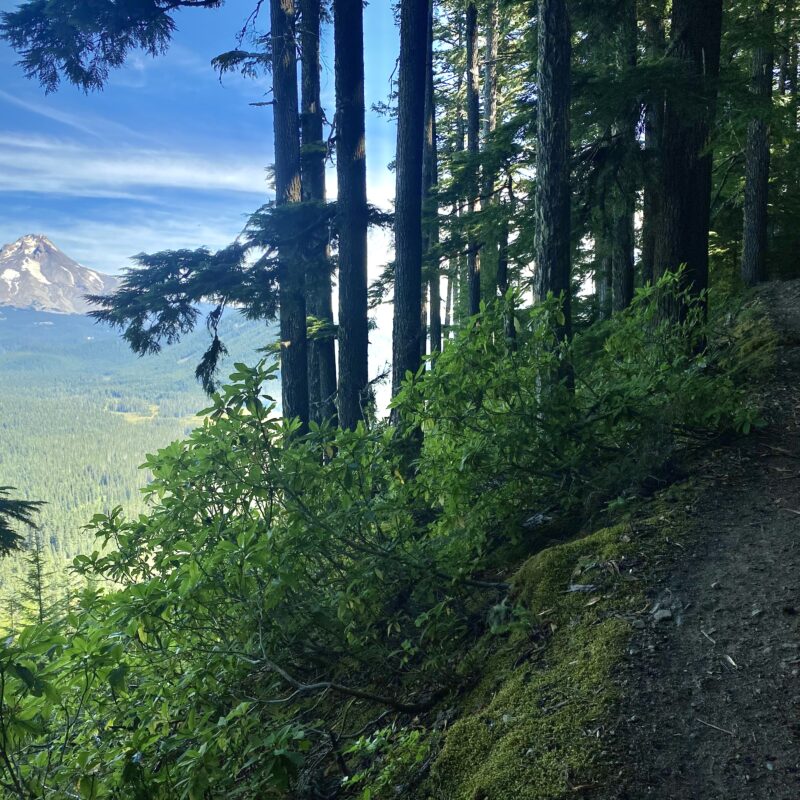 Looking Back on Mt Hood