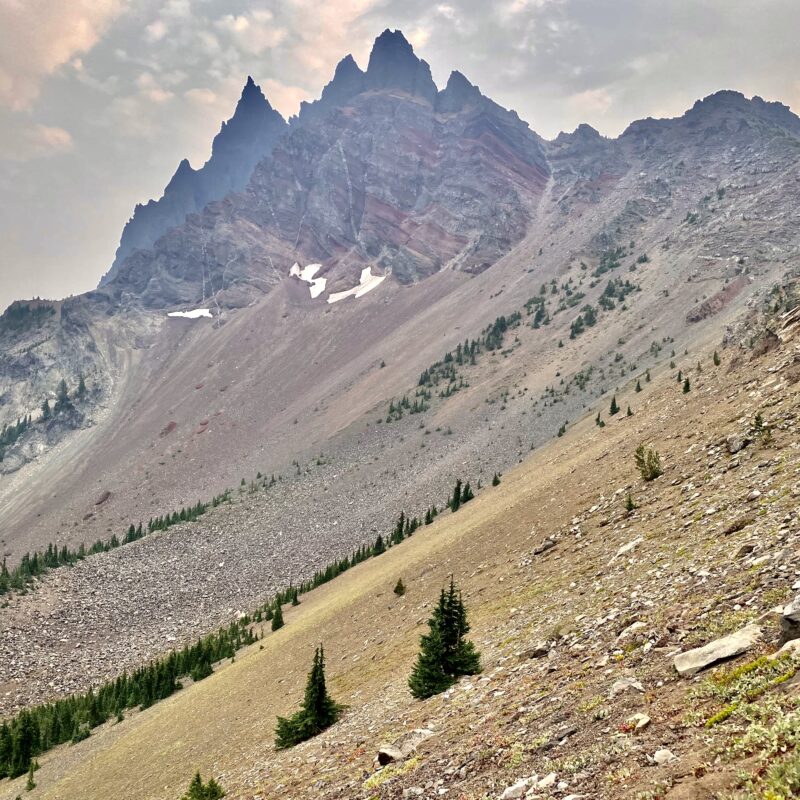 Three Fingered Jack