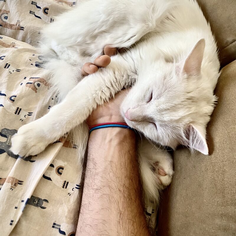 Coco’s Love