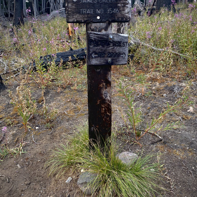 Remnants