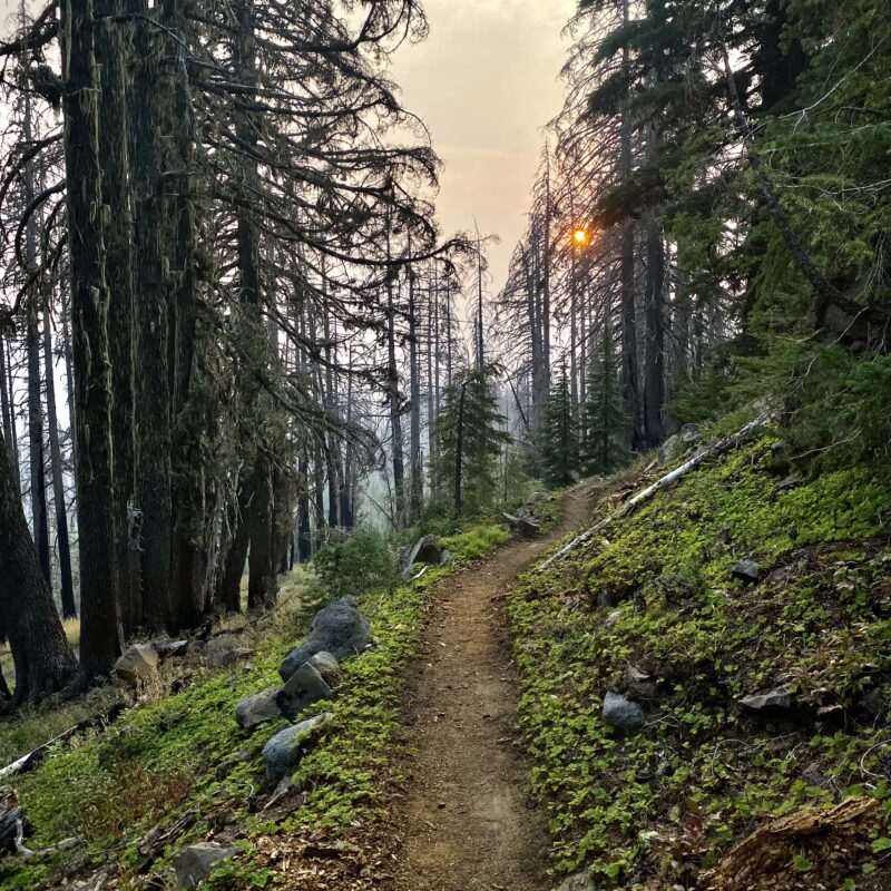 The Smoky Way