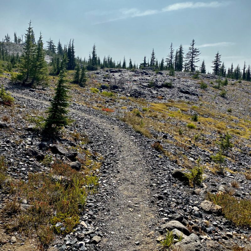 The Obsidian Path