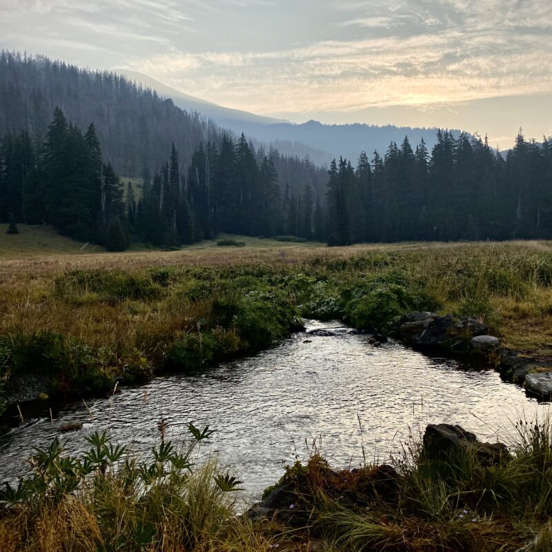 Mesa Creek Reflections