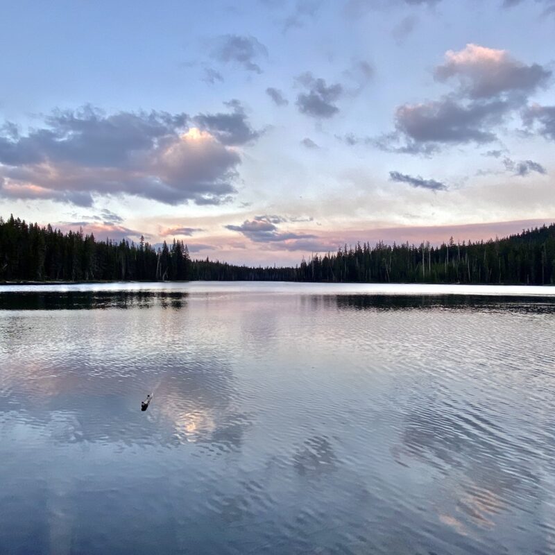 Bobbie Lake (Dusk)