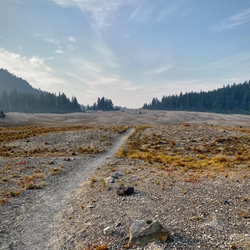 Rocky Barrens
