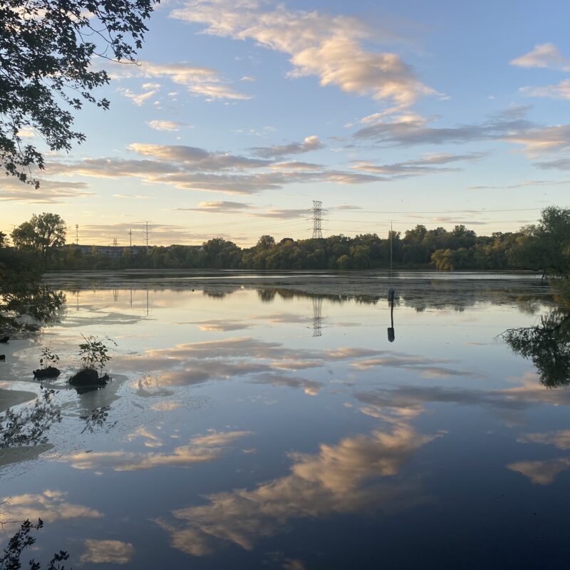 Reflections in Central Park (Minneapolis)