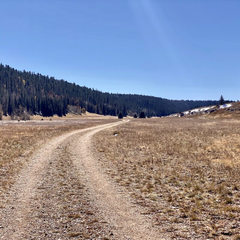 Endless Double Track
