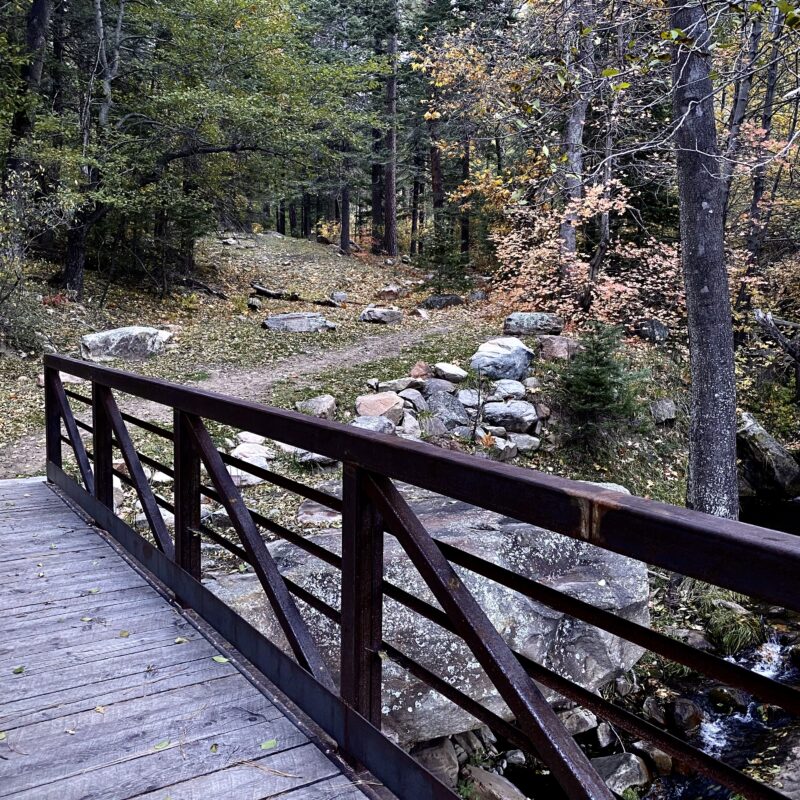 Enchanted Way