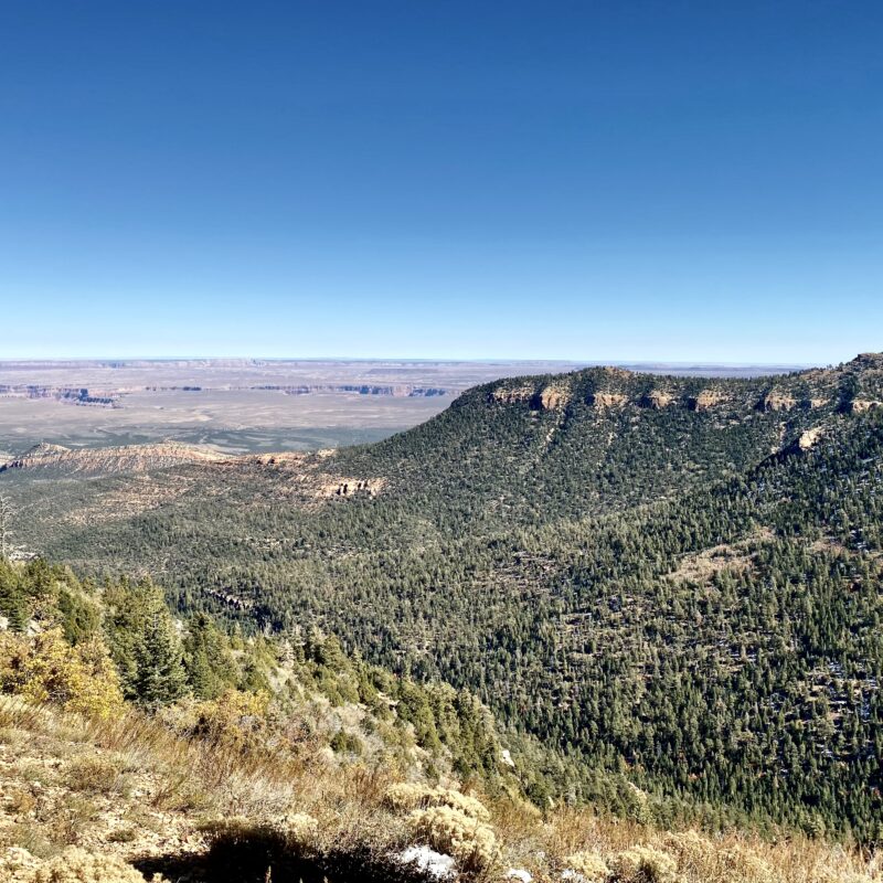 East Rim View