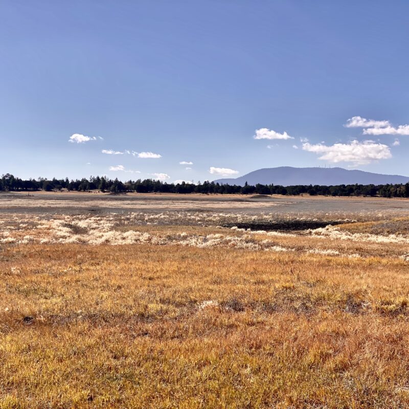 Vail Lake + Mormon Mountain