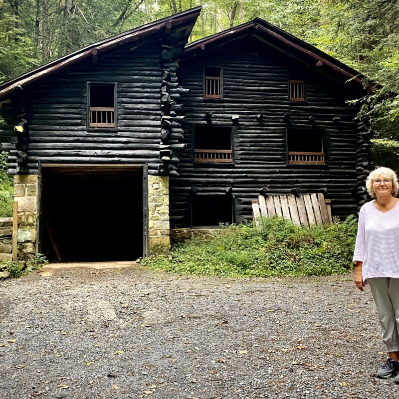 Pamela and Bordner's Cabin