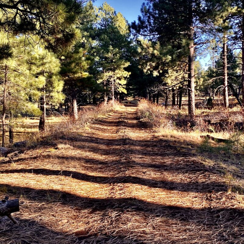 Railroad Way
