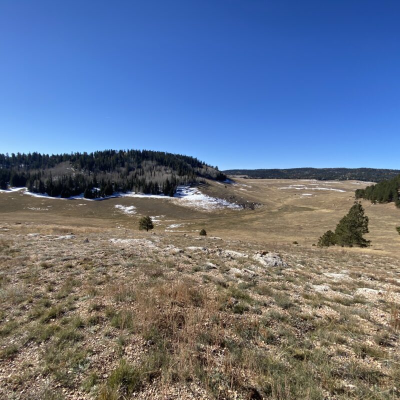 Open Plains of the Kaibab Plateau