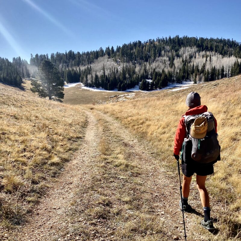 Open Walking
