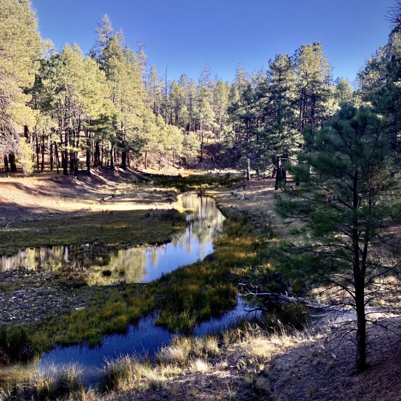 General Springs Canyon