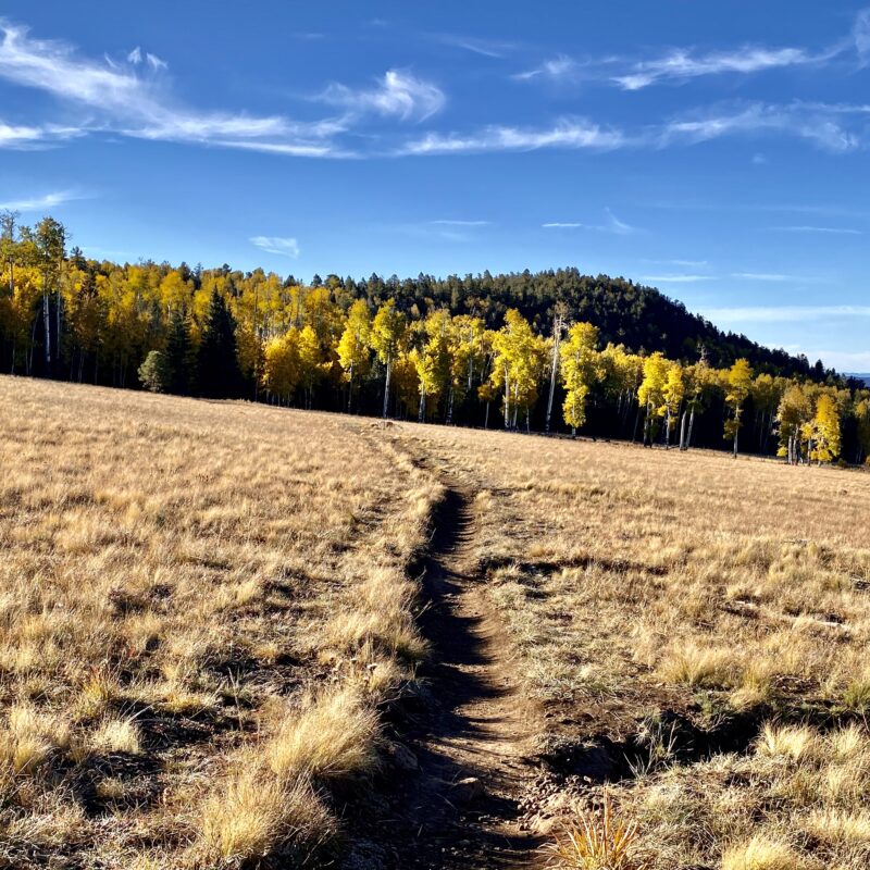 Bright ‘Angle’ Trail