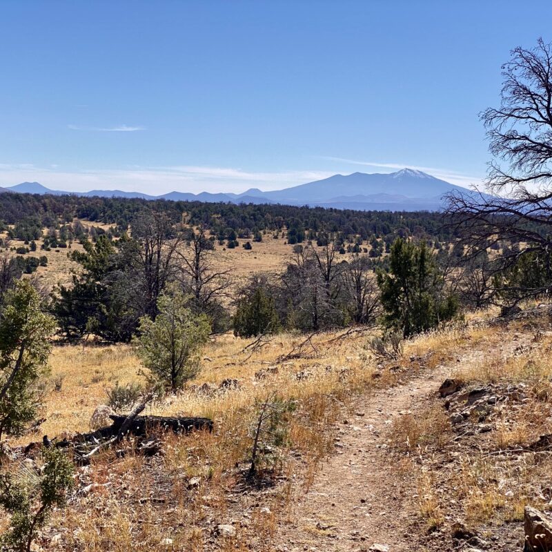 Winding Way to Humphreys Peak