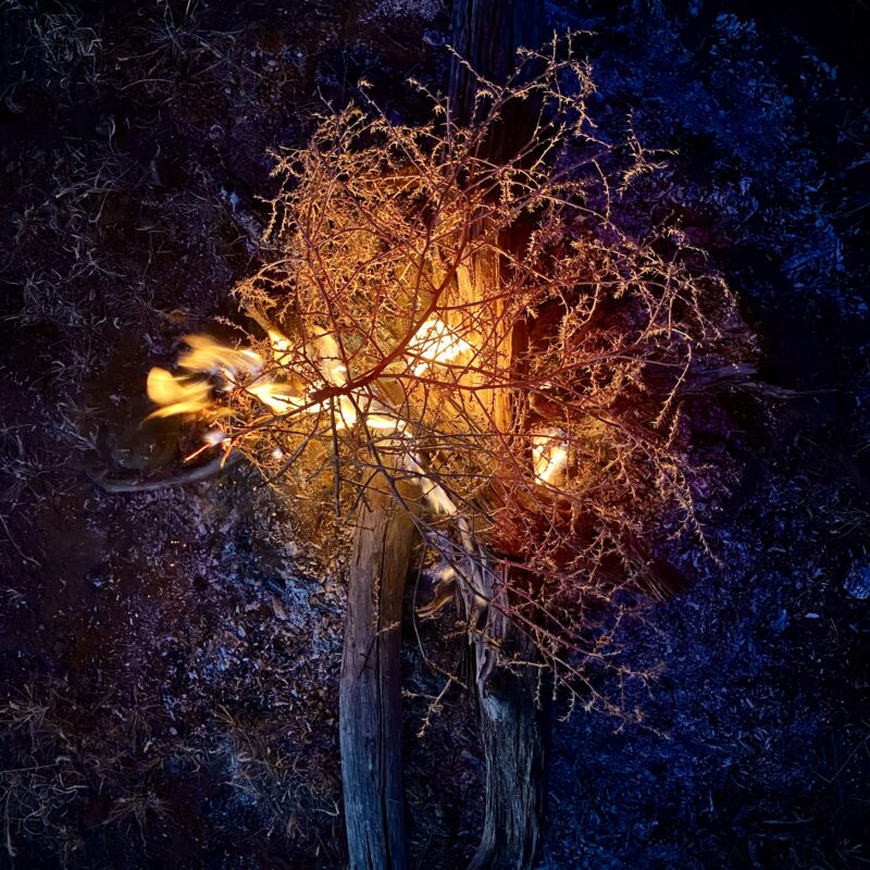 Torching Those Tumbleweeds