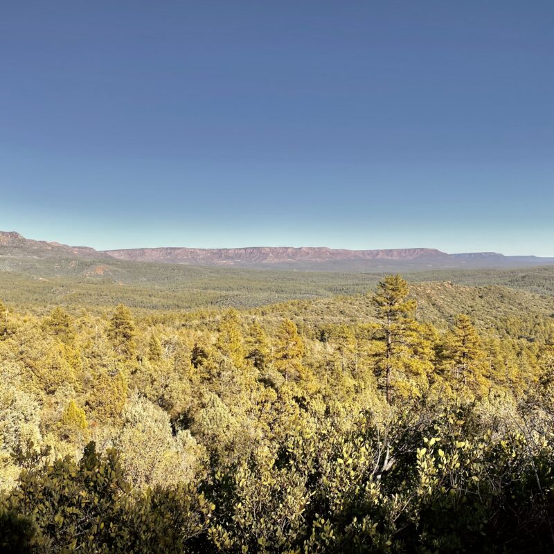 Green Horizons Below the Rim