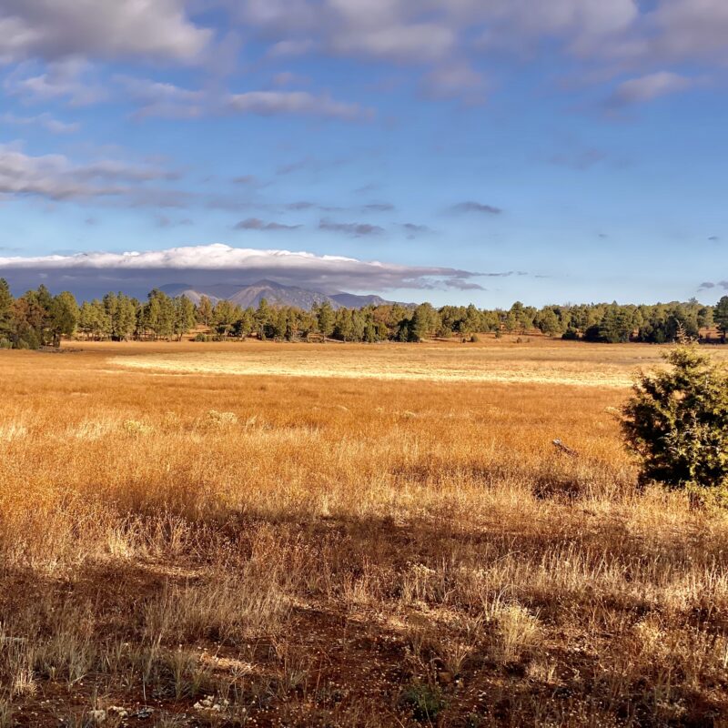 Last Look at the San Francisco Peaks