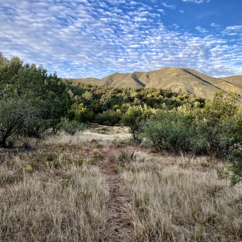 Rocky Ridge Ascent
