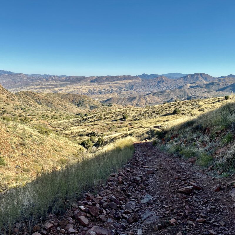 Steep Slant In Shade