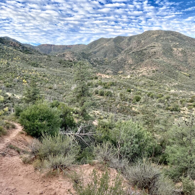 Rocky Ridge Ascent II