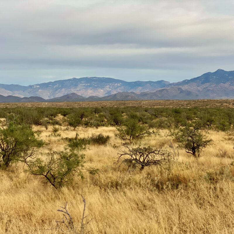 Desert Layers