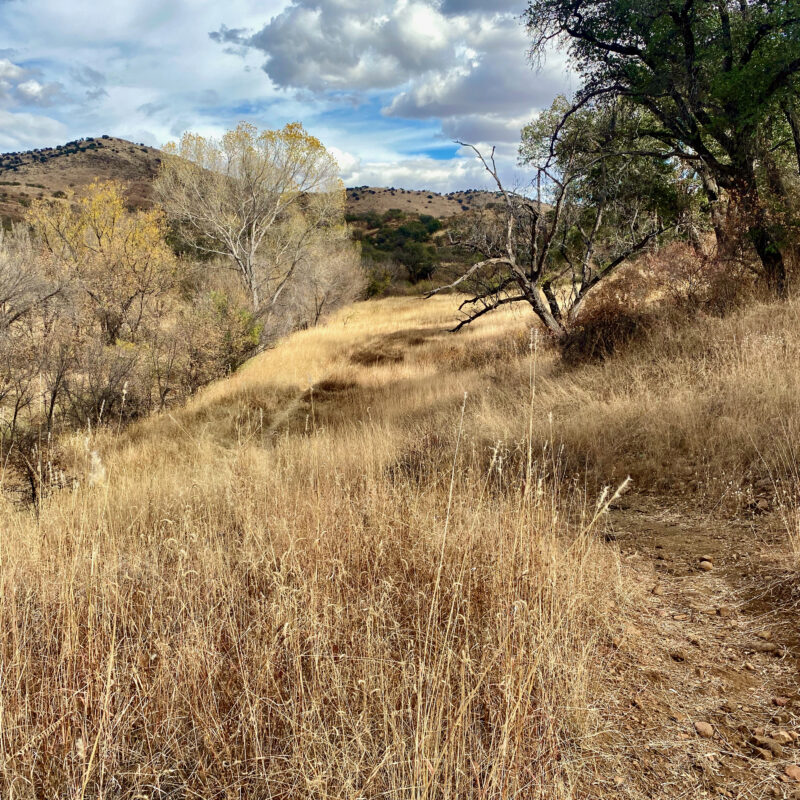 Rolling Grass Trails