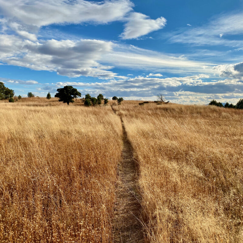 Windswept Prairie Trail