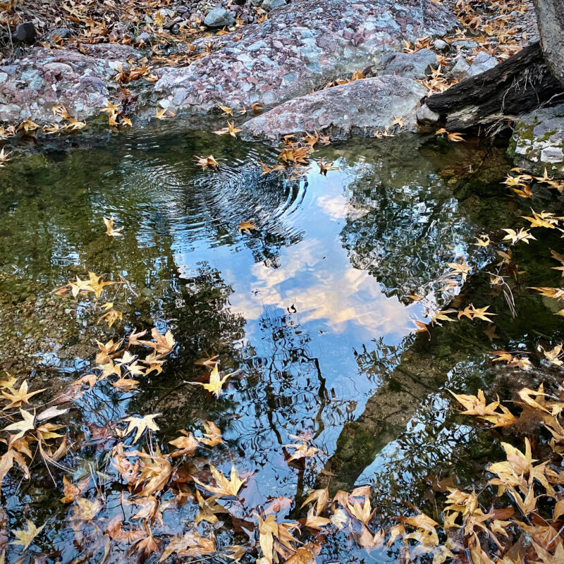 Reflections in Sunnyside Canyon
