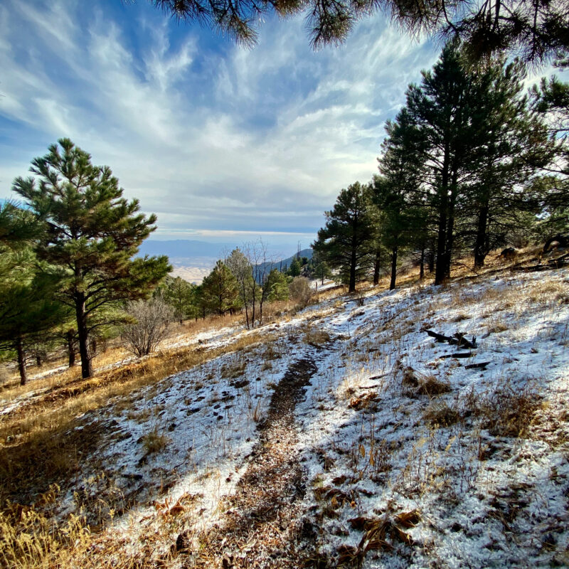 On the Huachuca Crest