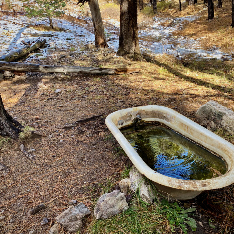 Bathtub Springs