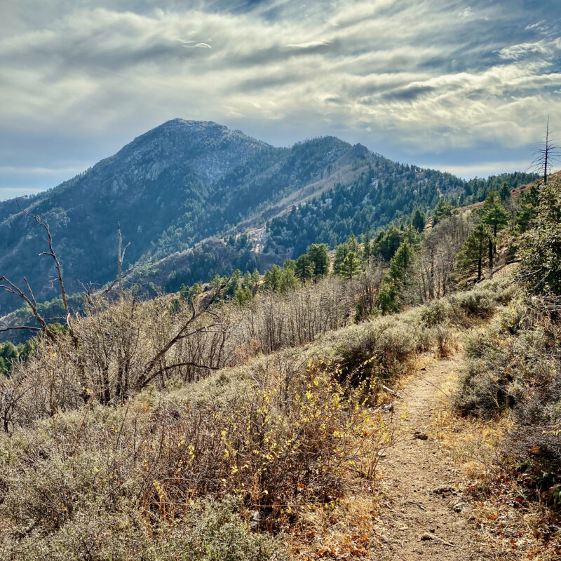 Miller Peak
