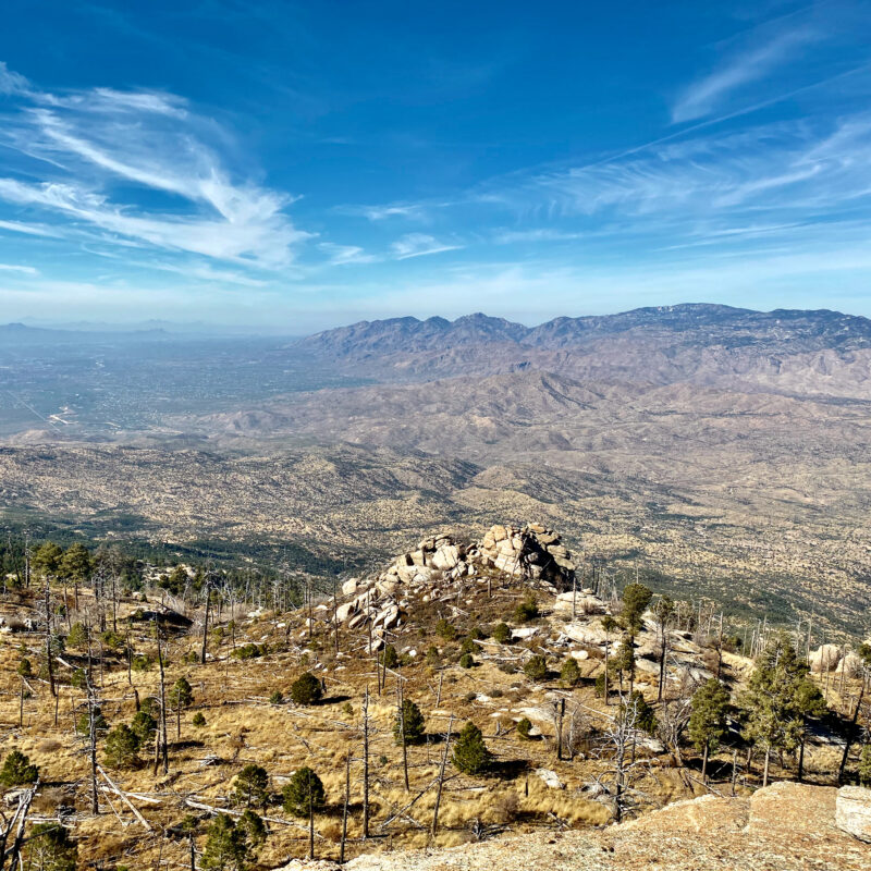 Upon the Mica Climb
