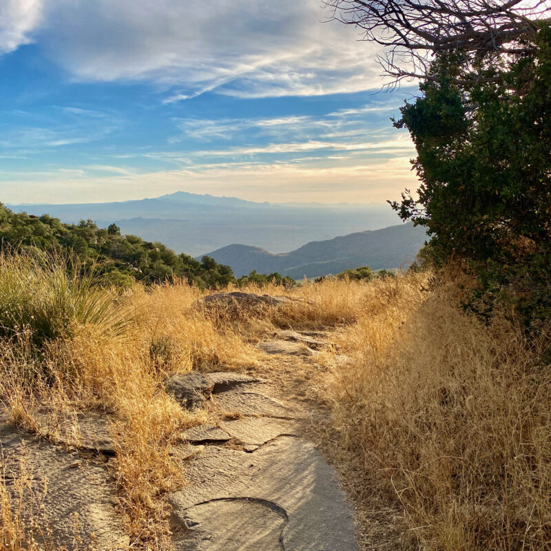 Descending the Rincons