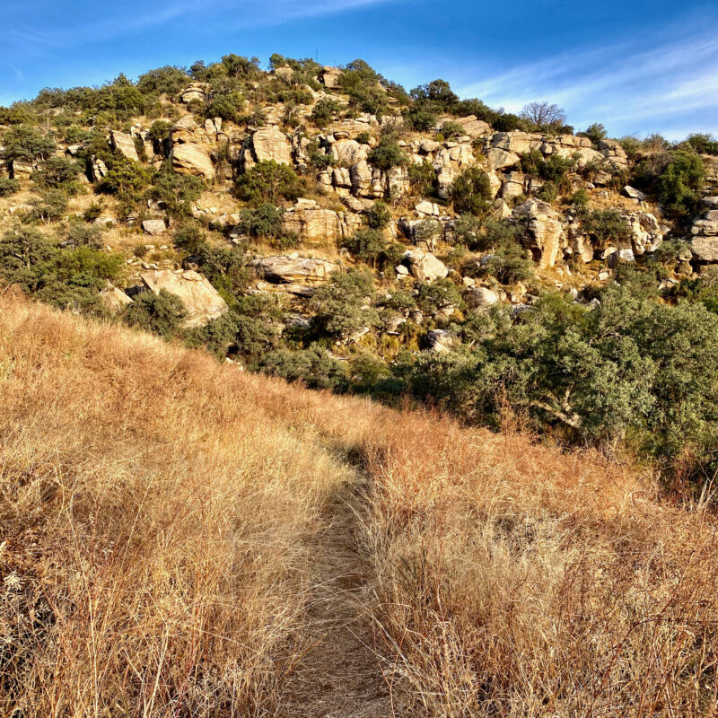 Nice Switchback View