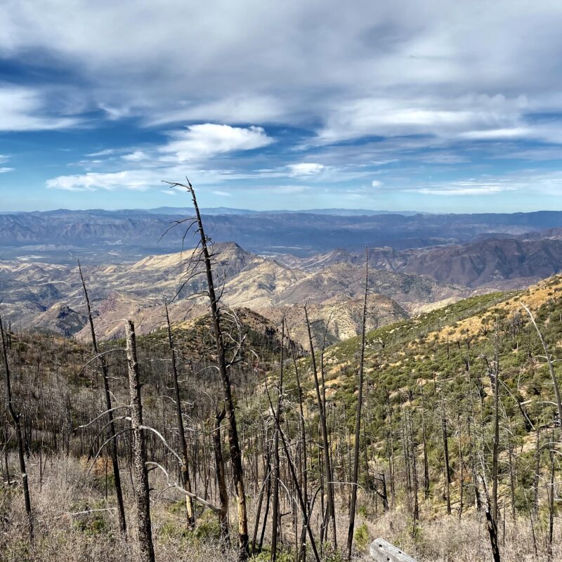 Burnt, But a Nice View