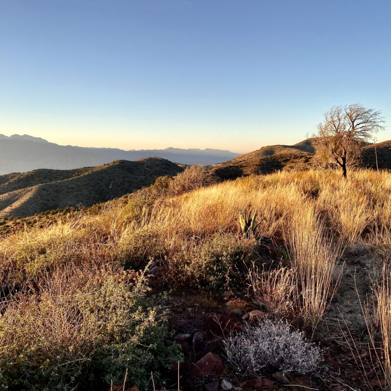 A Last Look at Four Peaks