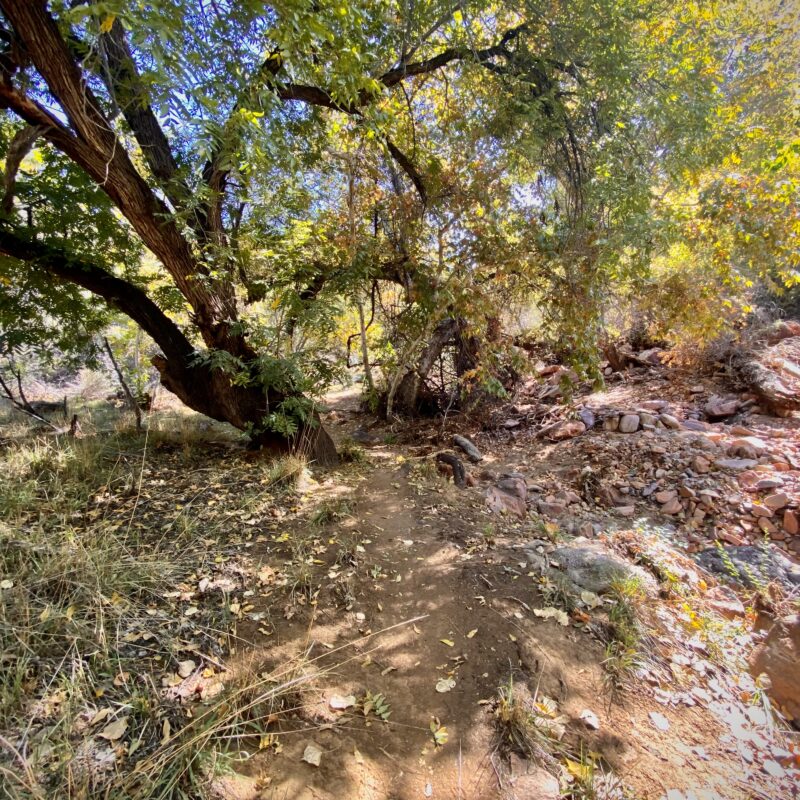 Cottonwood Creek