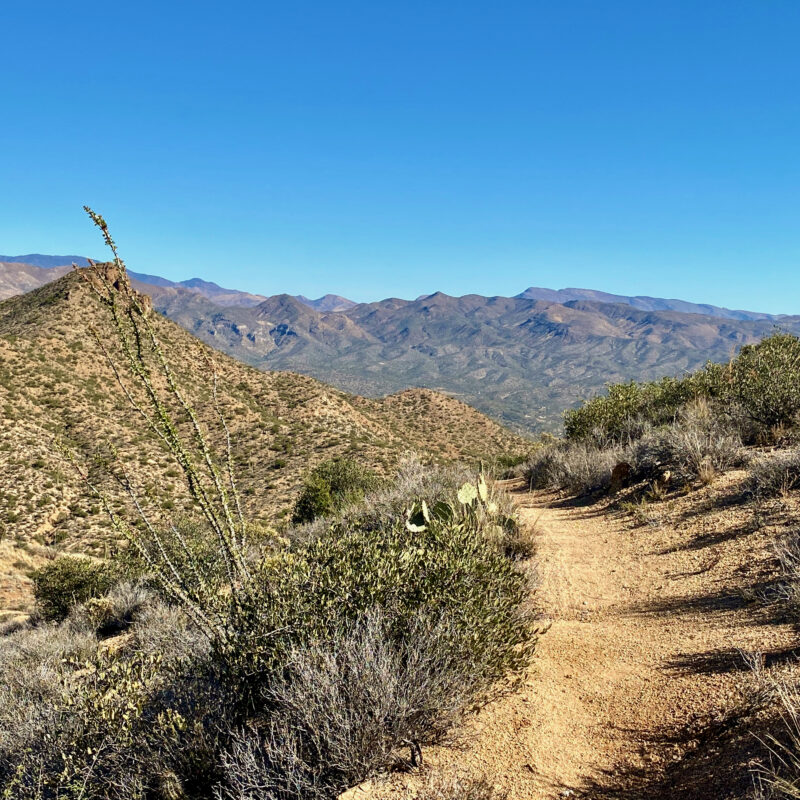 Desert Arc